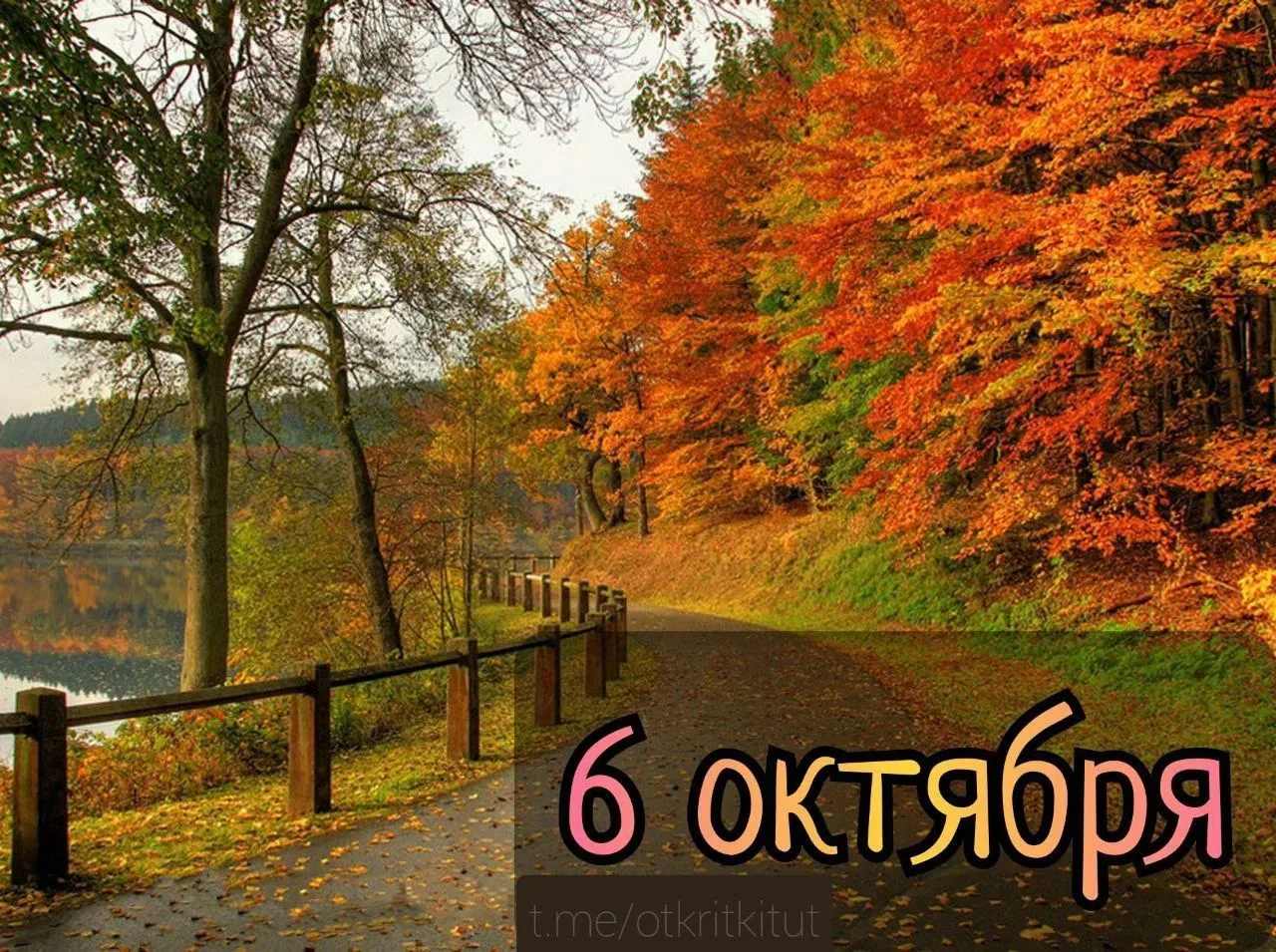 Праздники 6 октября 🗓️