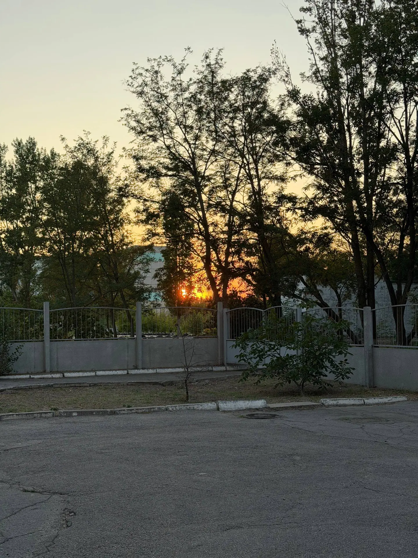 🌅