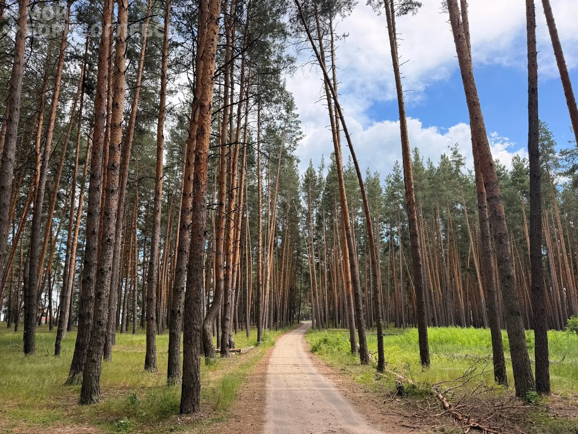 Доброе утро! Сегодня среда, 17 июня

🌡Сейчас +17°, днём +23°, переменная облачность, дождь 🌧