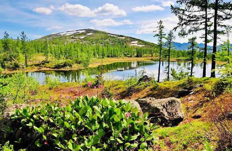 🏔️ Гора Палласа находится всего в 35 километрах от Читы, на территории Ивано-Арахлейского природног