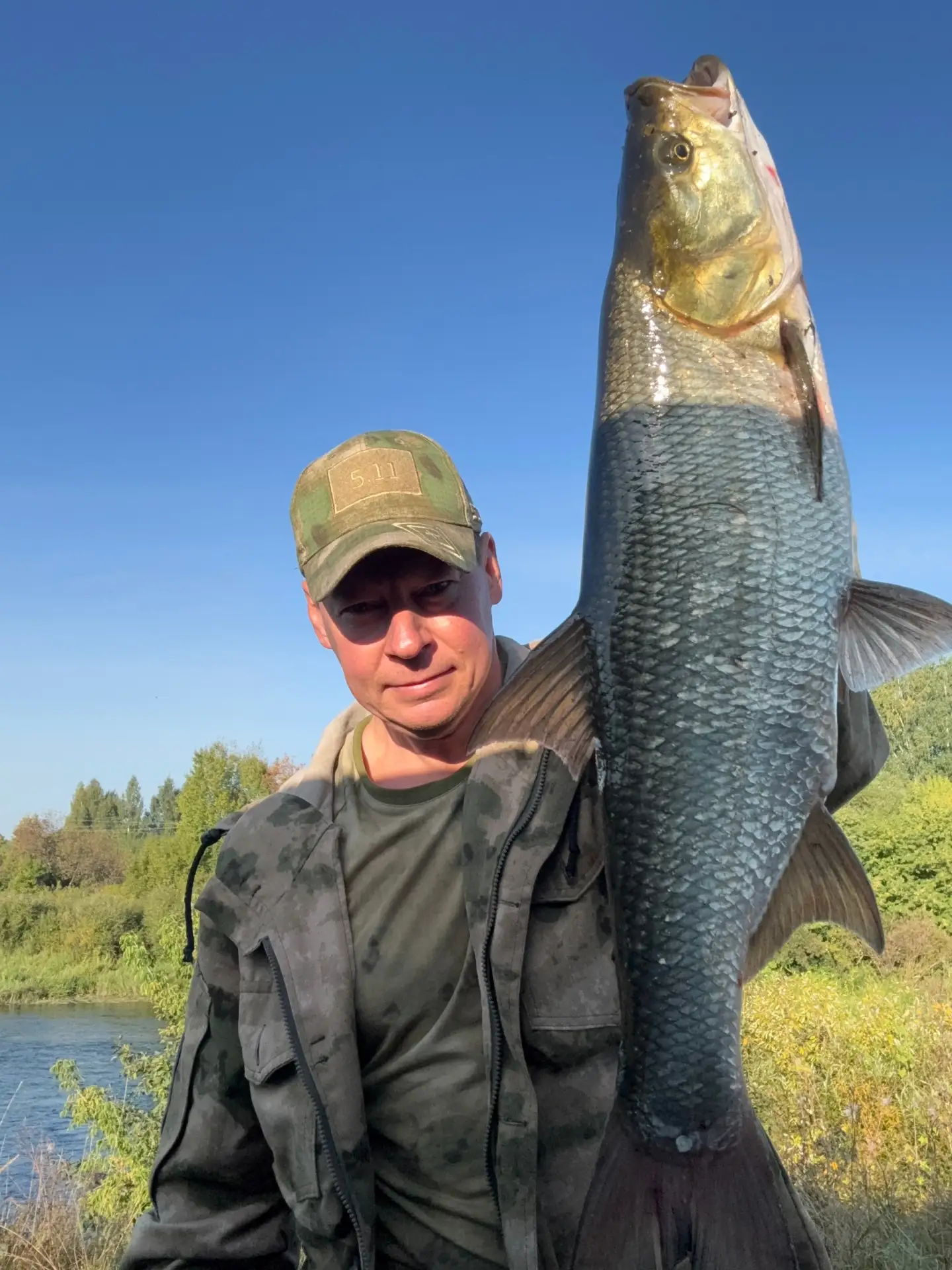 Береговой осенний жерех 🐟🎣