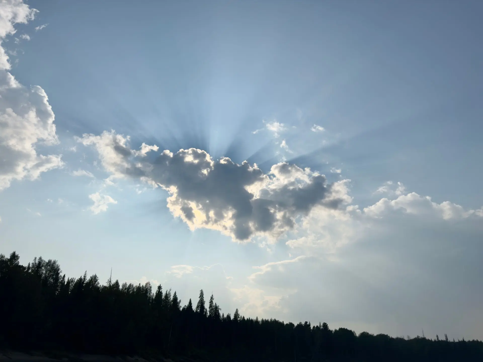 Красота реки Большой Юган 💙