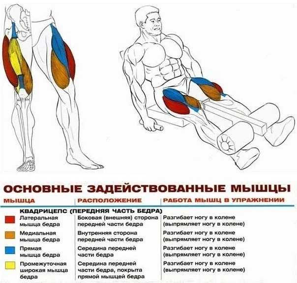 Разгибания ног сидя