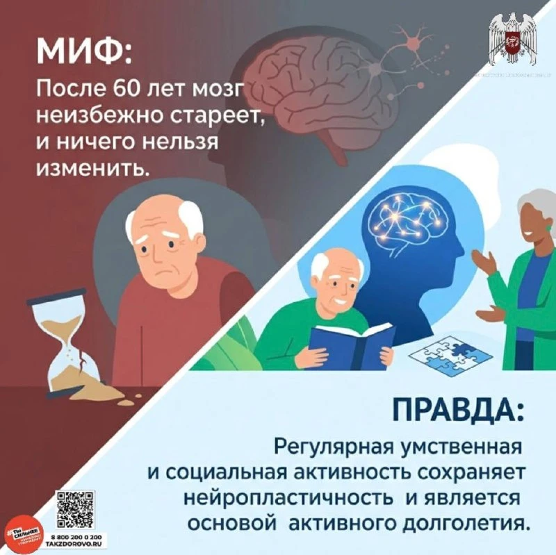 🔴 Развеиваем мифы и рассказываем правду о здоровье головного мозга в нашей инфографике