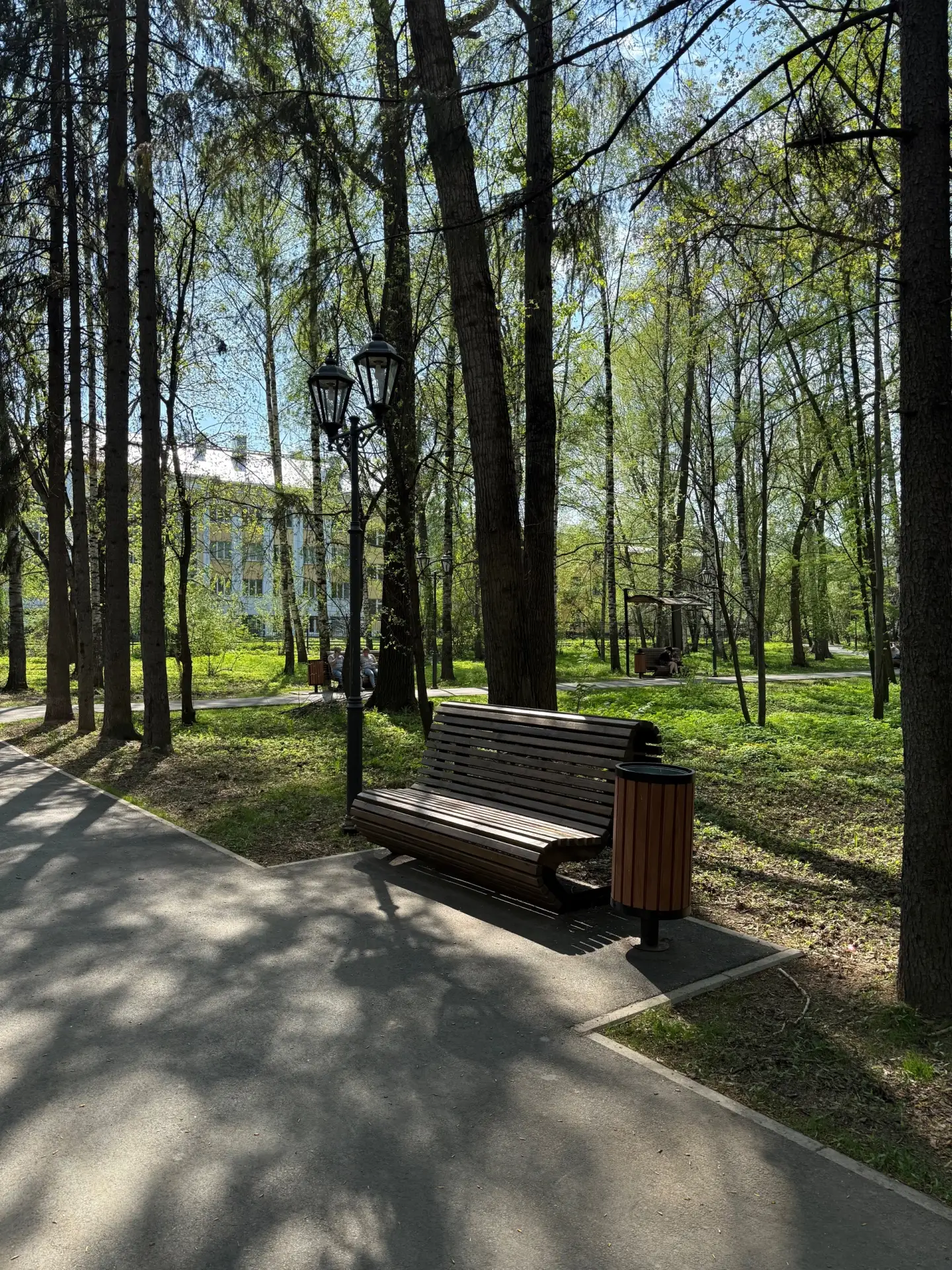 🌳 Центральный парк культуры и отдыха стал более комфортным благодаря реализация федерального проекта
