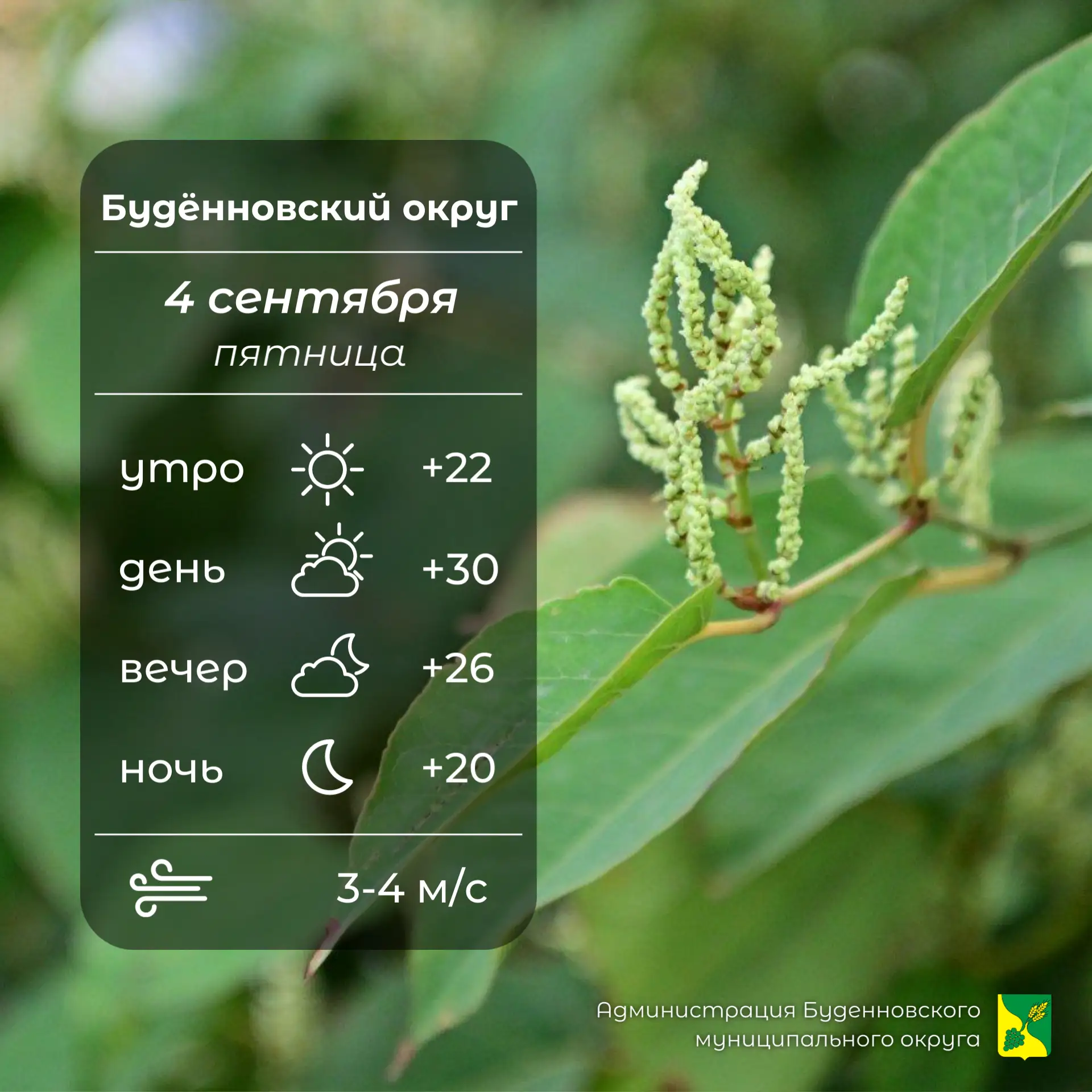 ⛅Сегодня в Буденновском округе переменная облачность, без осадков. Температура воздуха ...