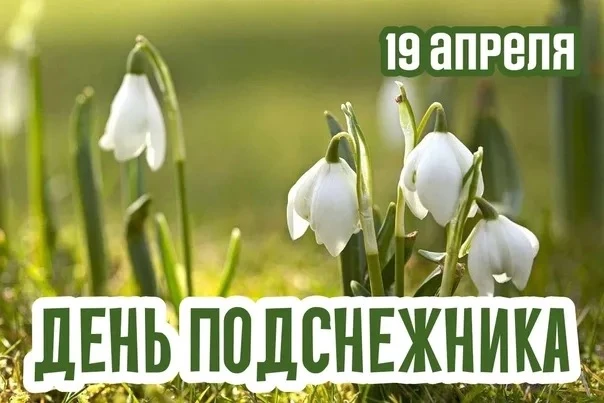 Астрологический прогноз на 19 апреля 🌙  Общая атмосфера: Воскресенье — день Солнца, планеты жизни, э