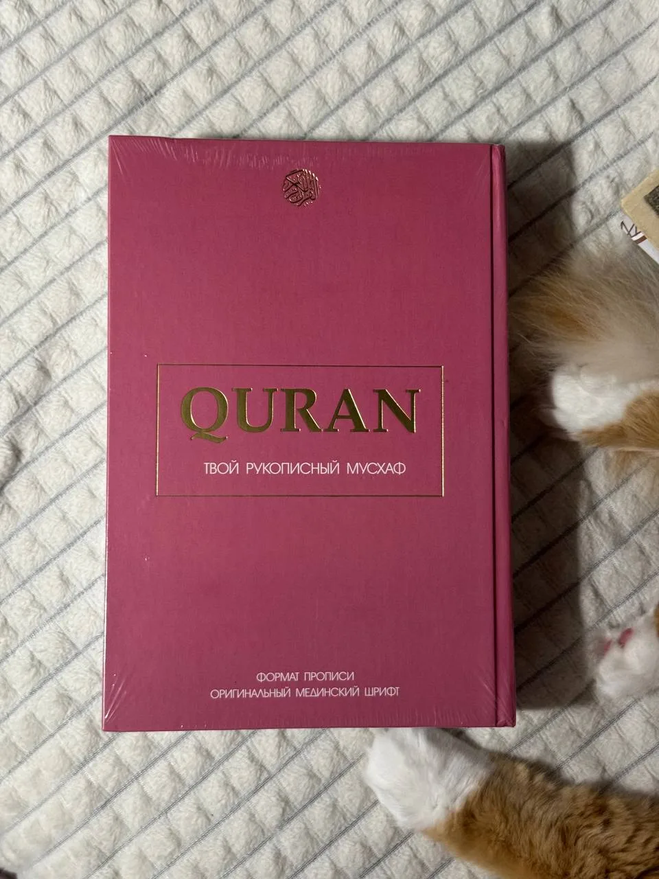 السلام عليكم ورحمة الله وبركاته