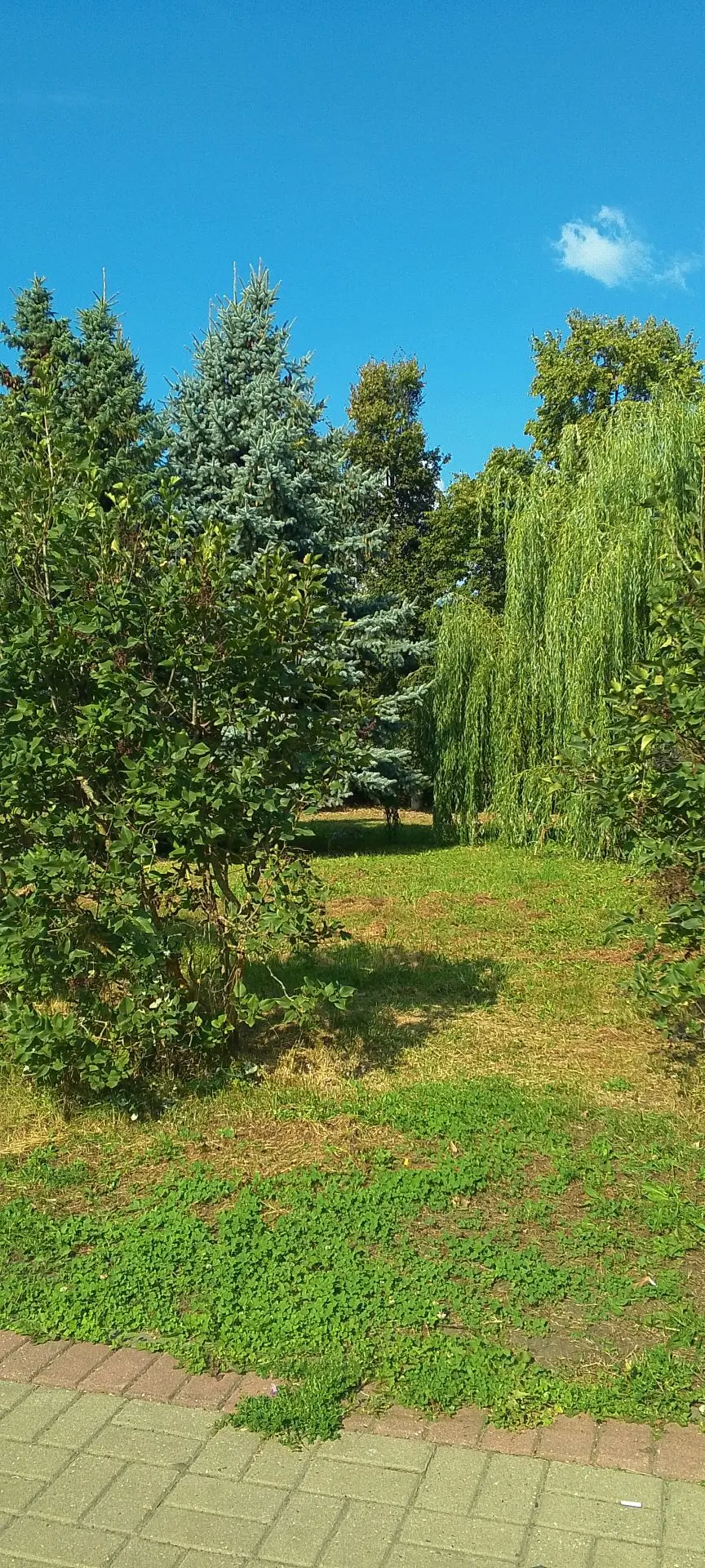 Кусочек лета) Первый день осени на удивление жаркий 😌