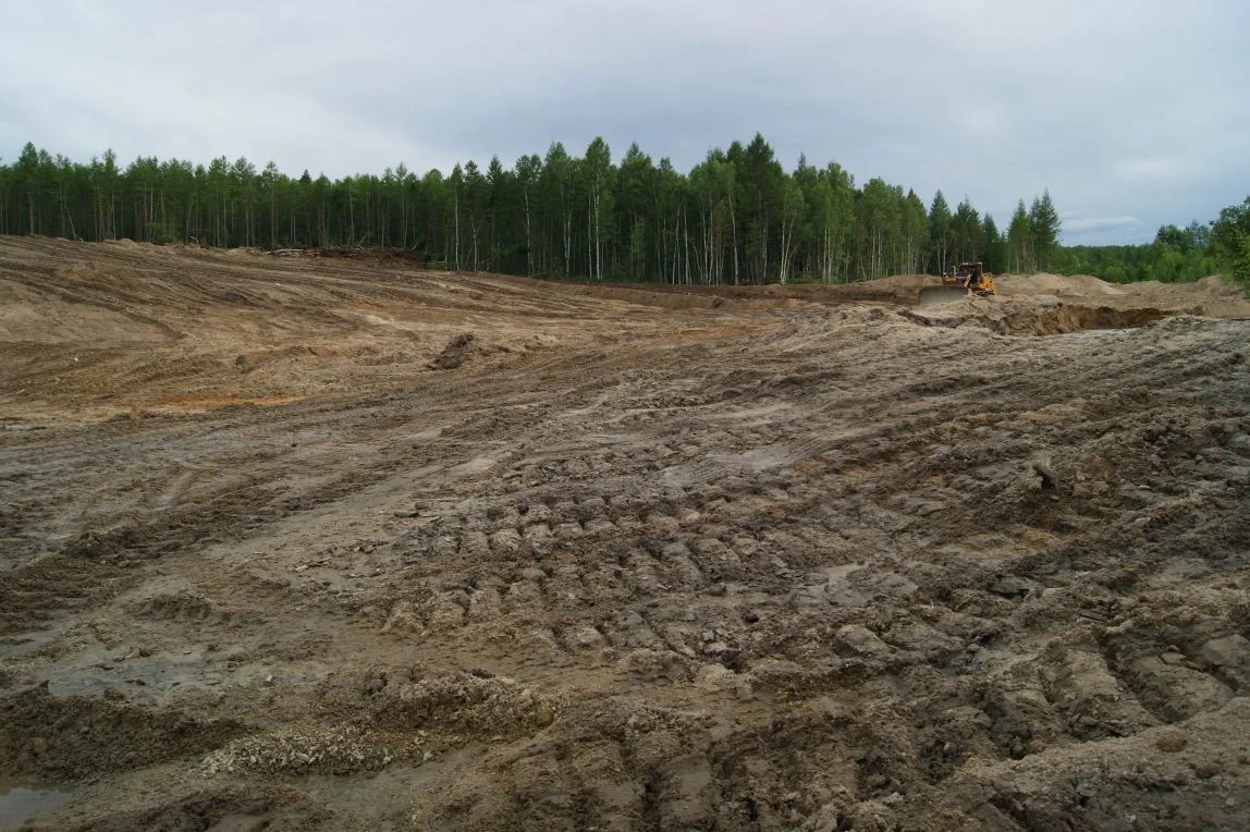 В Амурской области по иску природоохранной прокуратуры суд взыскал ущерб за снятие и пе...