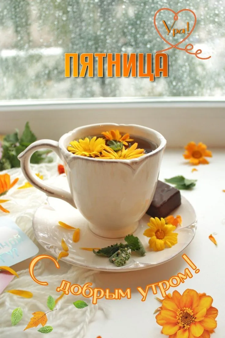 Приятного завтрака! 🤗☕