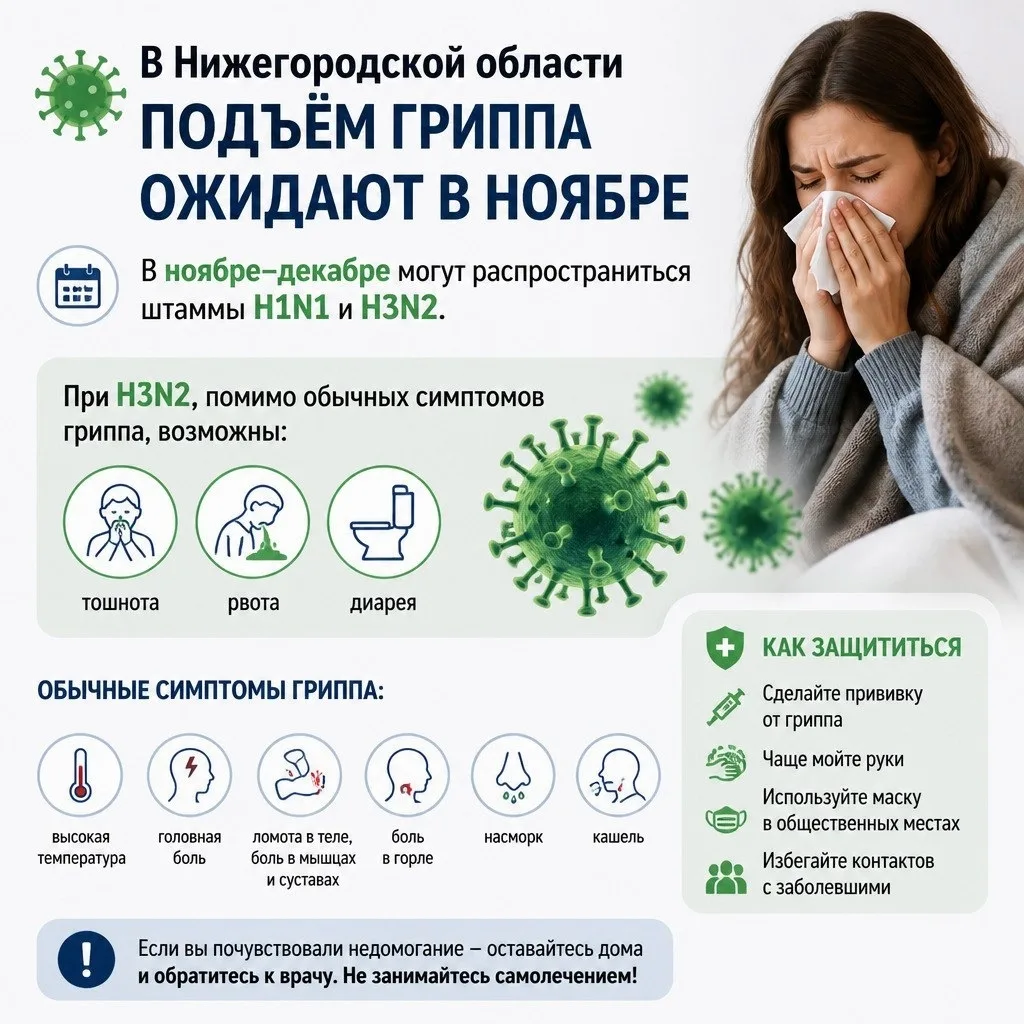 🦠 В Нижегородской области подъём гриппа ожидают в ноябре