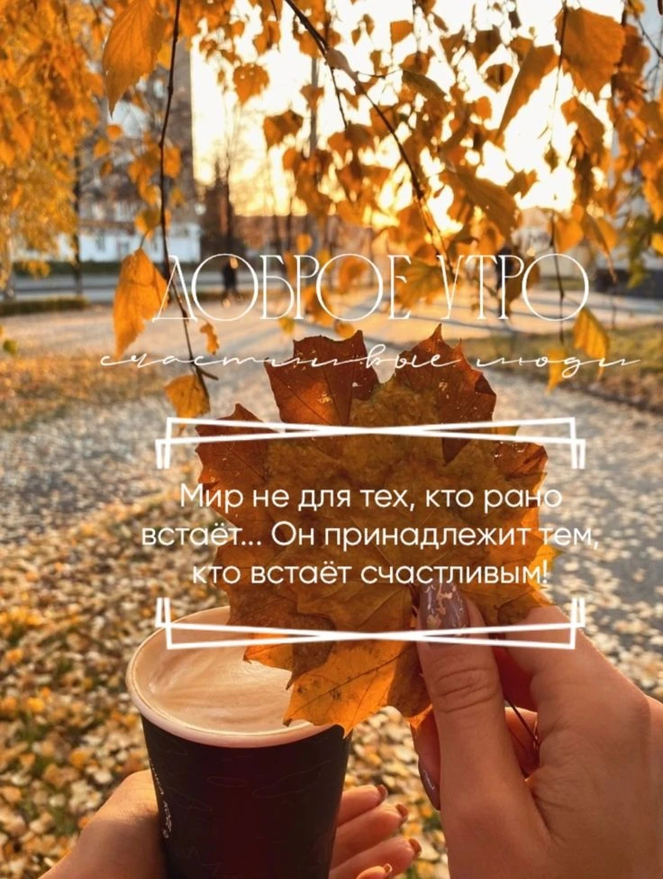 🗓ПРАЗДНИКИ