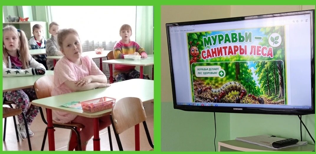 🐜17 мая очень интересный и необычный праздник - День Муравья.
