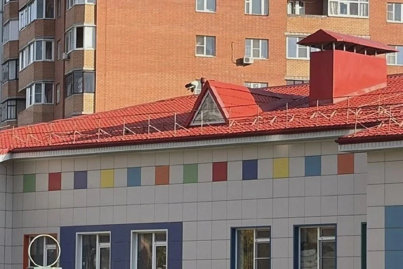 Жители просят помочь аисту на крыше детсада