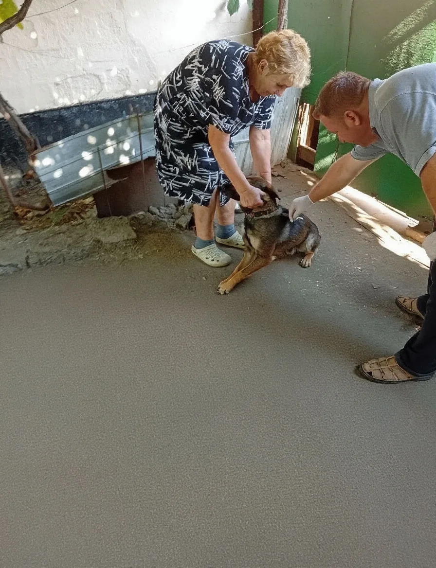 🐶🐱 В Черниговке проведена плановая подворовая вакцинация животных против бешенства