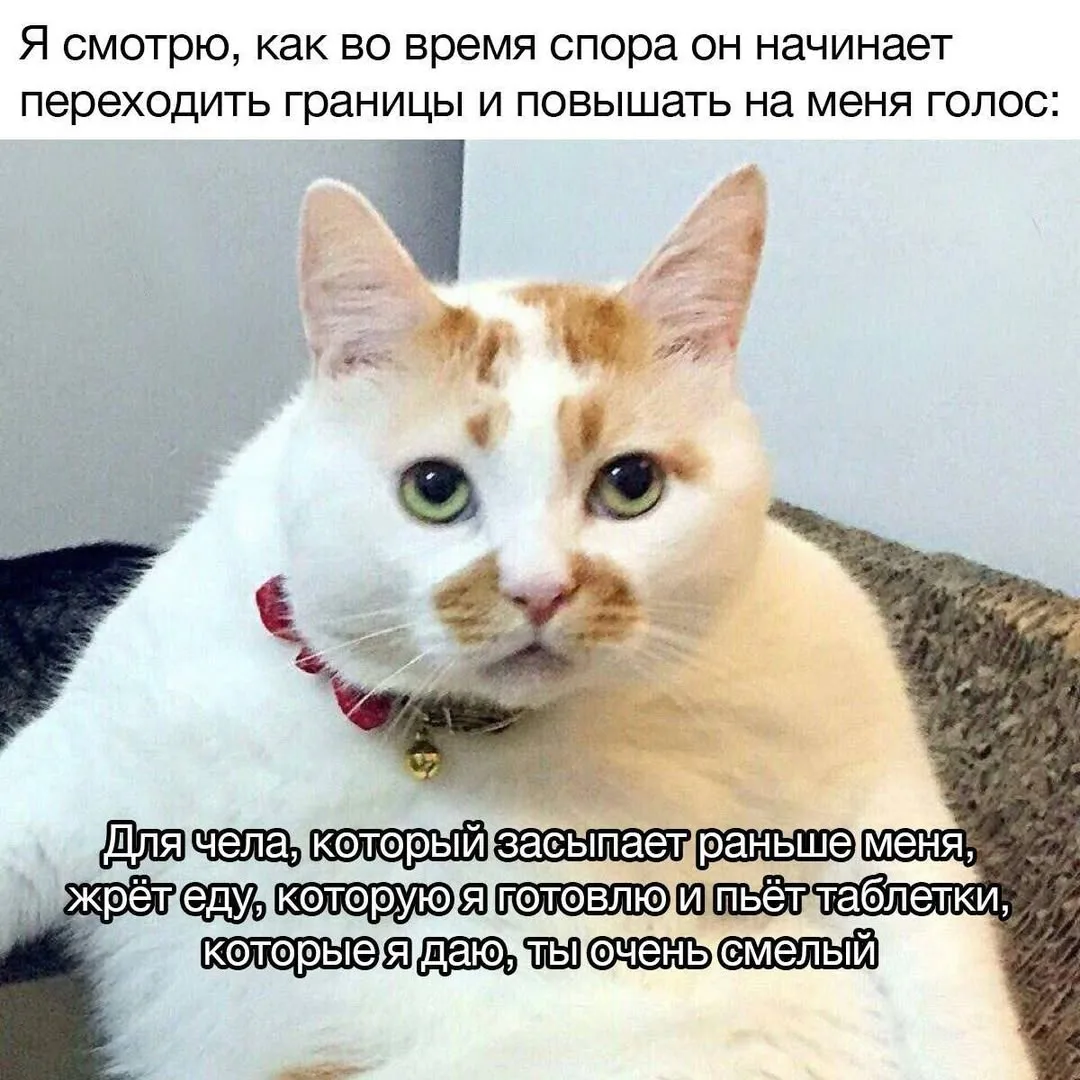 Прастити 🙈