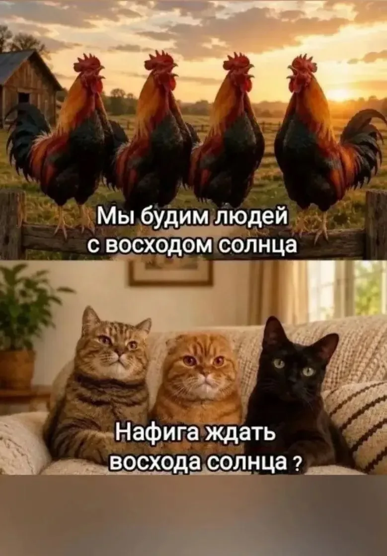 Бодрое утро!!! Художники🎨❤️
СЕГОДНЯ встречаемся в 19.00 МСК 
Строим портрет карандашом
Вас ждет Роз