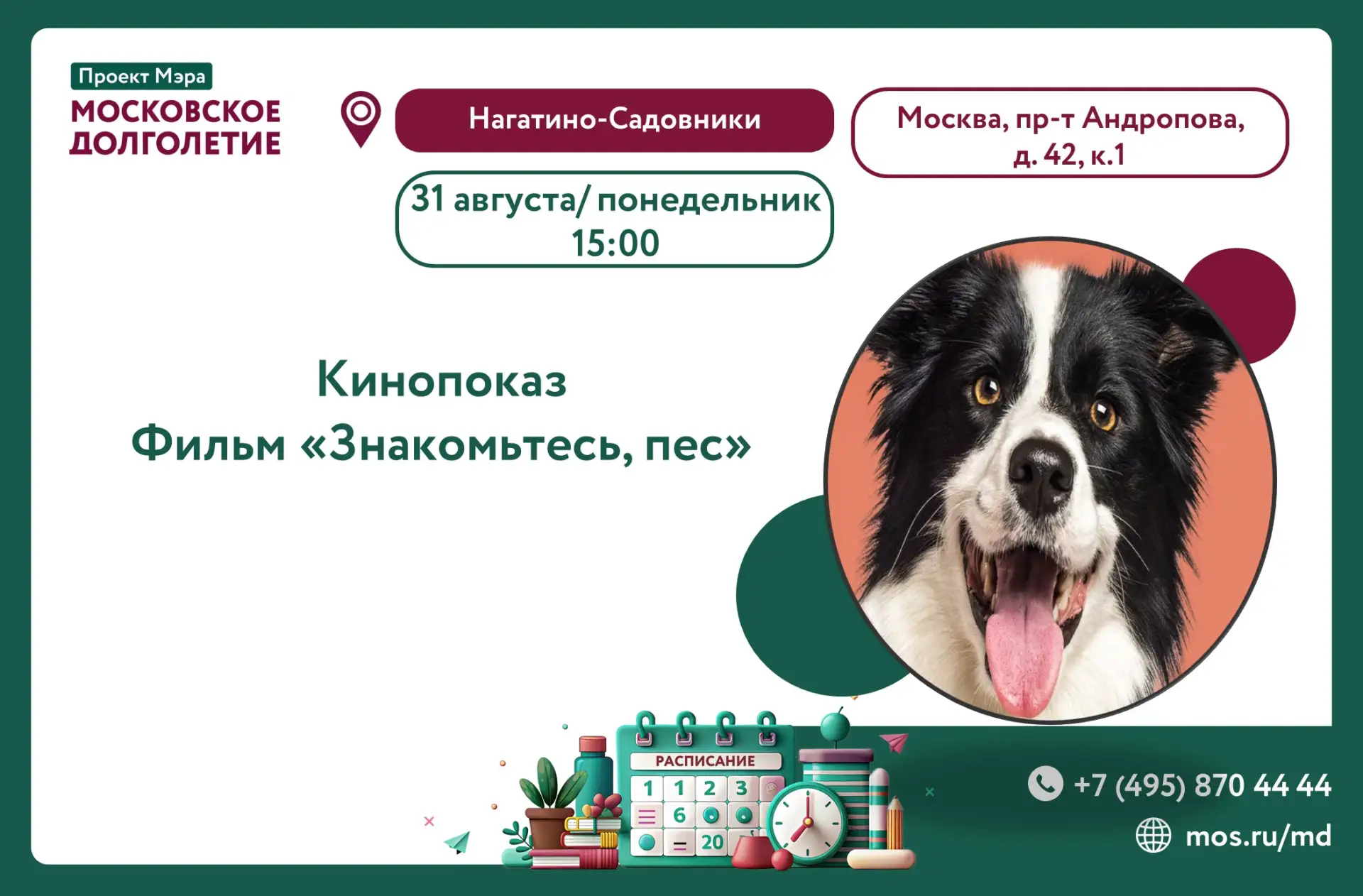Дорогие друзья!🎊