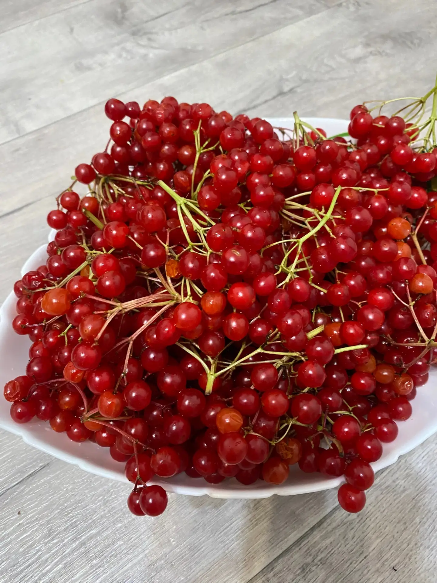 Продам калину свежую и замороженную. По 250 рублей за литр. Хорошая новость… — публикация канала «Железногорск Барахолка»