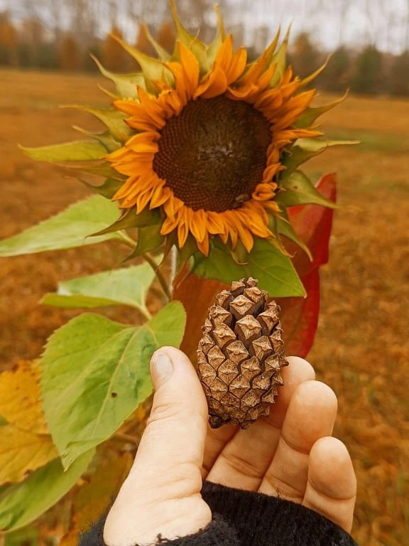 Осенний Татышев 🍂