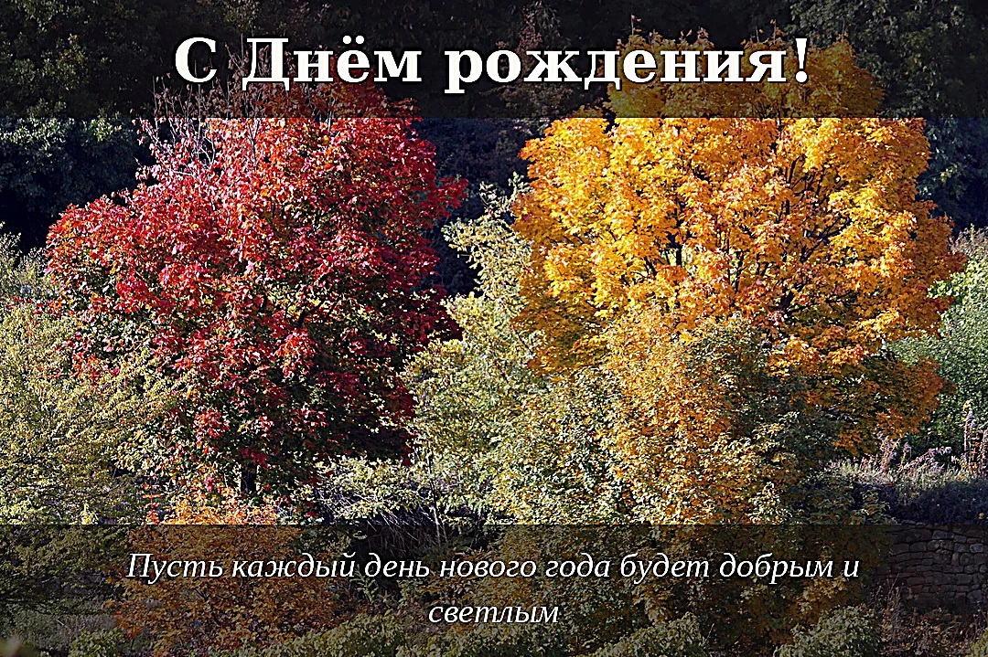 Пусть исполняются все мечты, а рядом всегда будут родные

SHAPO media · наши каналы