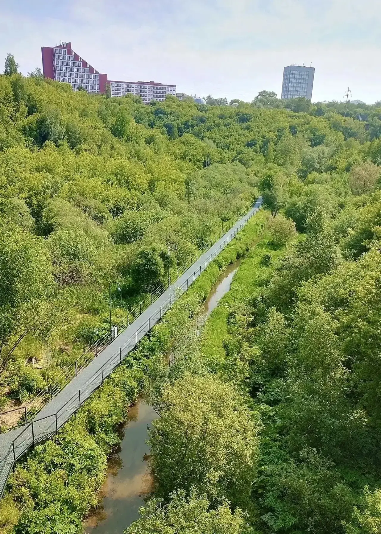 Парк Разгуляй

Фото: Оля Кaрпова