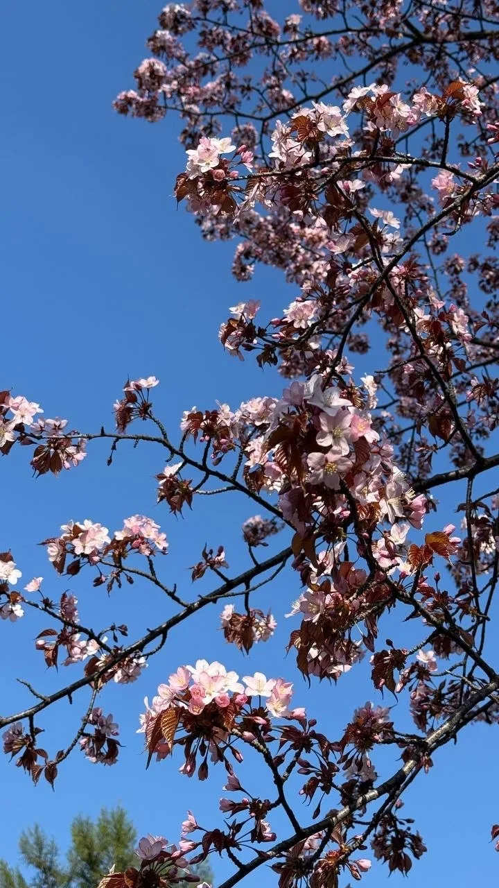 Доброе утро, Южный! 🌞  В эту субботу погода решила порадовать нас настоящим, почти летним теплом. Со
