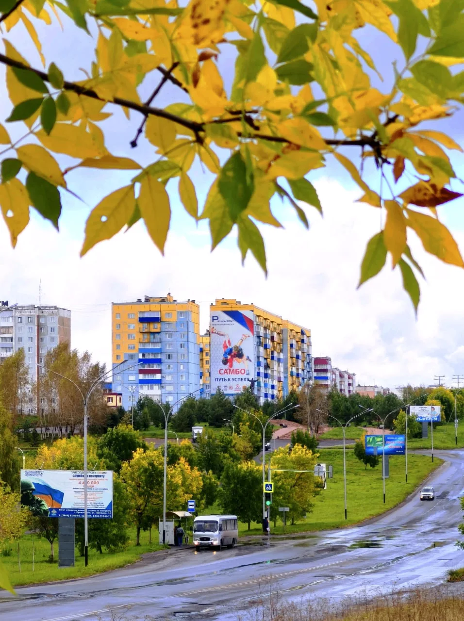 Осень в кадре🤗😍🍁