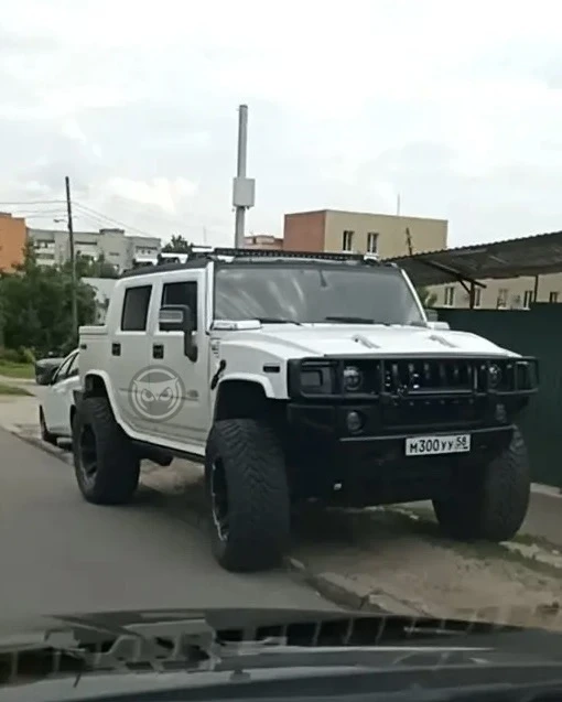 В копилку монстров Пензы😈