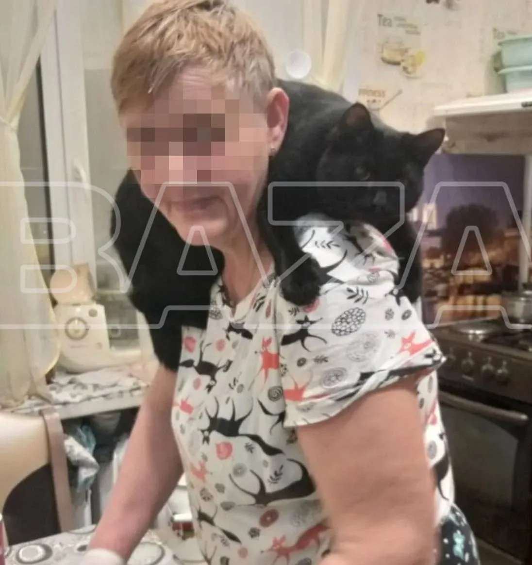 Медведь напал на 68-летнюю женщину в окрестностях Новокузнецка — она чудом смогла отбиться