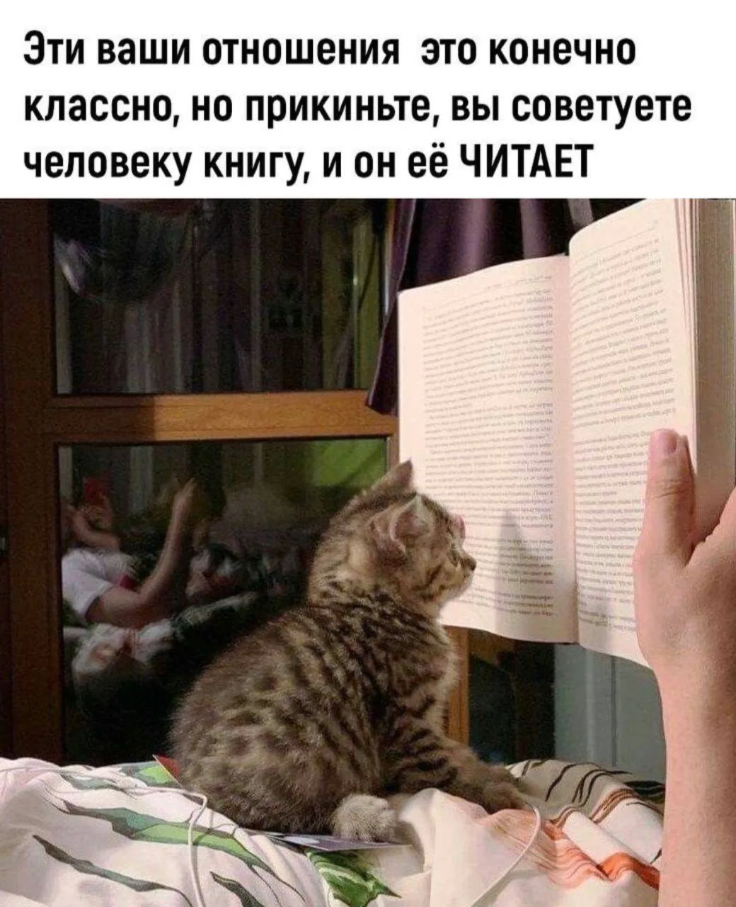 неповторимое чувство 🩷

~та обсудить с кем-то любимую книгу – вообще бесценно 

книги