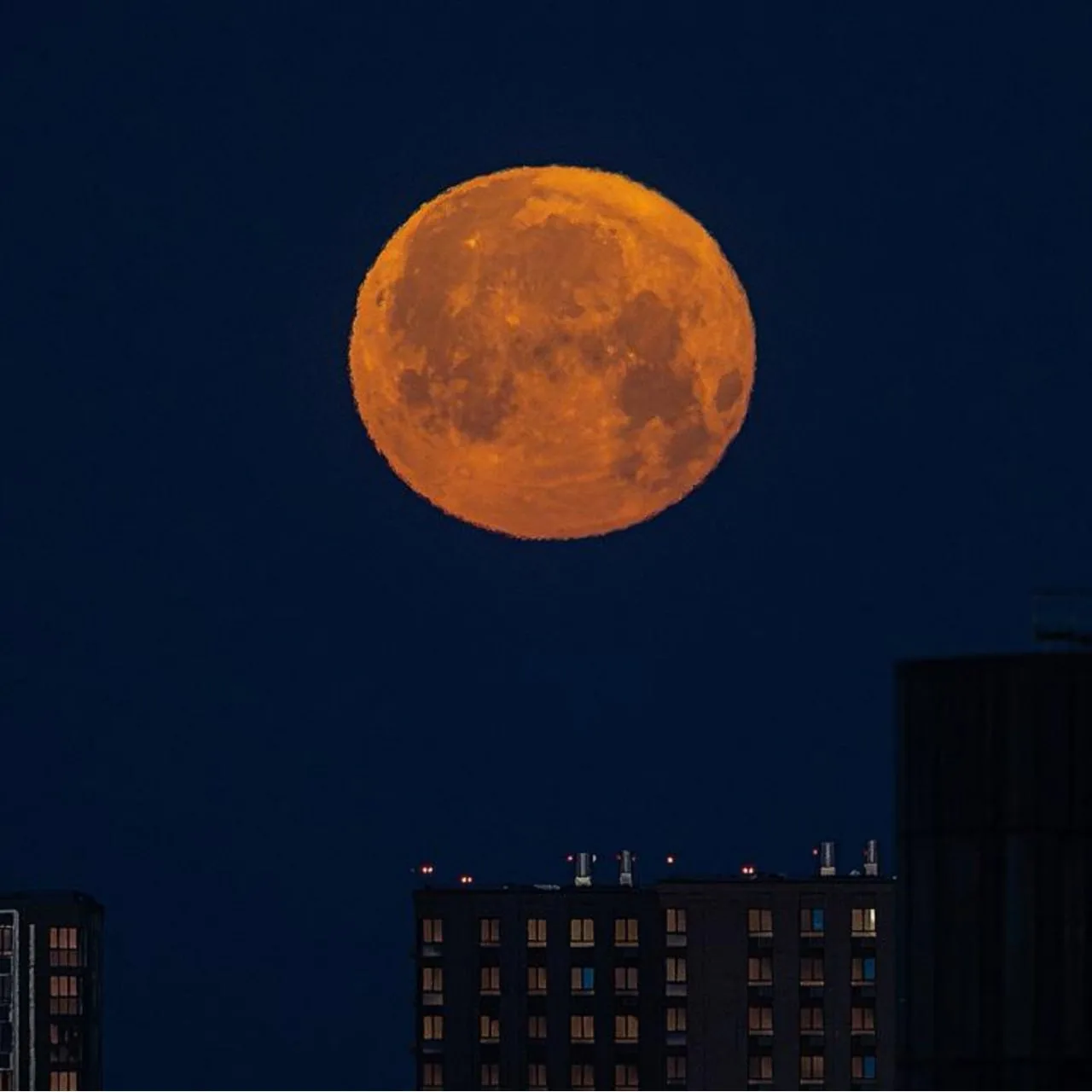 🌕Над Керчью взойдёт "Оленья Луна": когда смотреть самое красивое полнолуние июля

В ближайшие ночи 