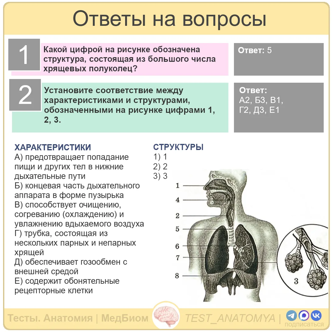 ⬆️ Ответы на вопросы