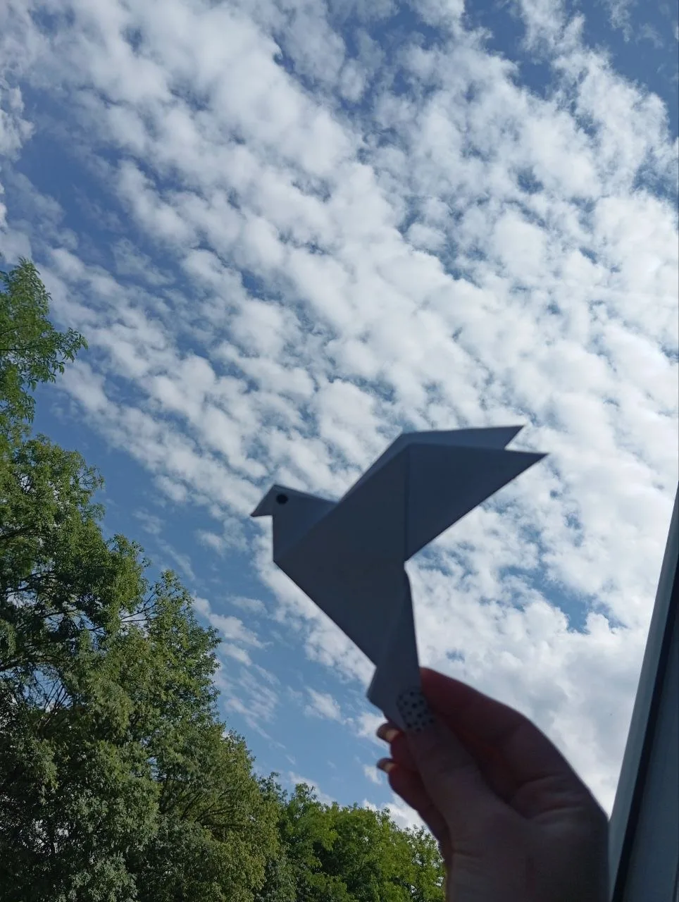 В МБОУ СОШ 4 продолжается акция ✨ «Голуби Донбасса» — летят к миру! ✨