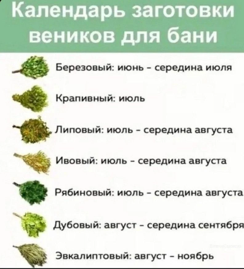 Teм, ктo цeнит бaню, этo бyдeт пoлeзнo.

🌻 Любимая дача - Подписаться!