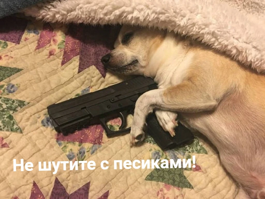 Компьютер не только хорош для игр, но и может спасти своему хозяину жизнь, что и произошло с одним п