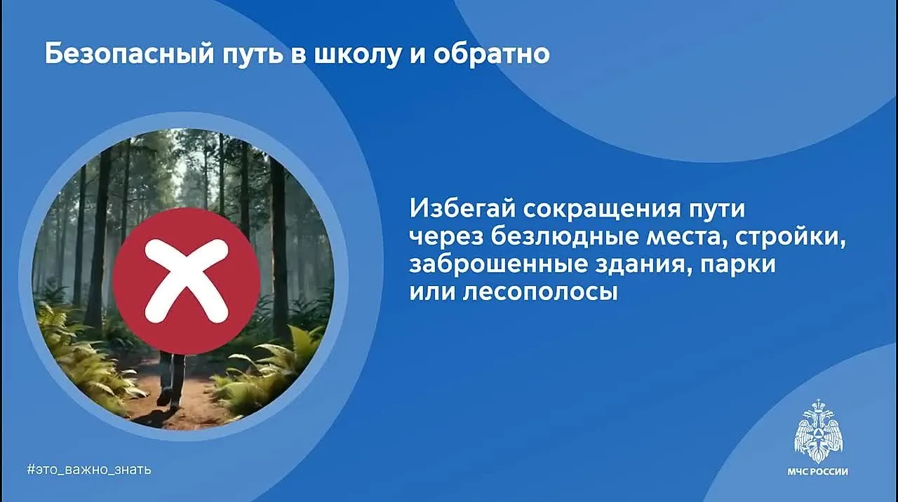 Безопасная дорога в школу