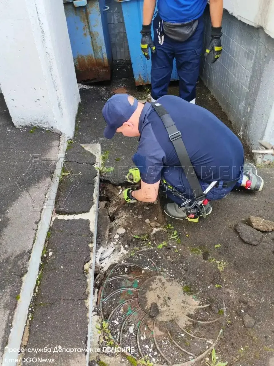 С помощью специального инструмента разобрали часть конструкции, аккуратно поймали полосатую беглянку