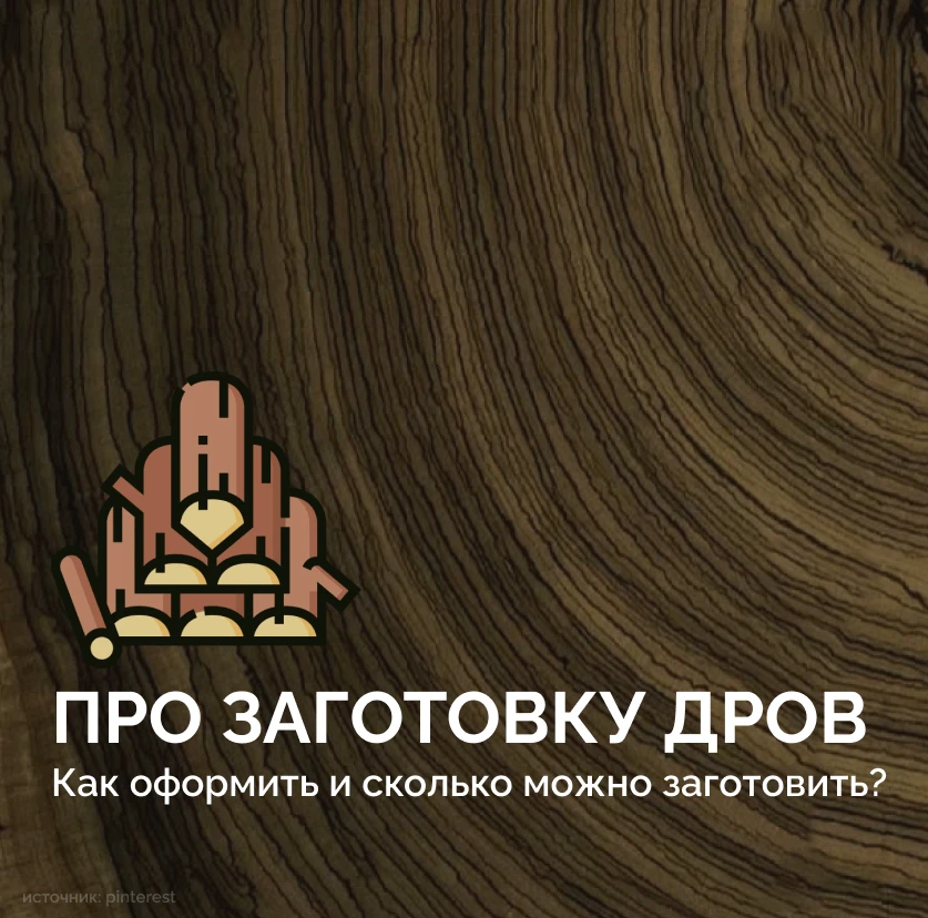 🪵 Нужны дрова для дома? Рассказываем, как оформить заготовку древесины для собственных...