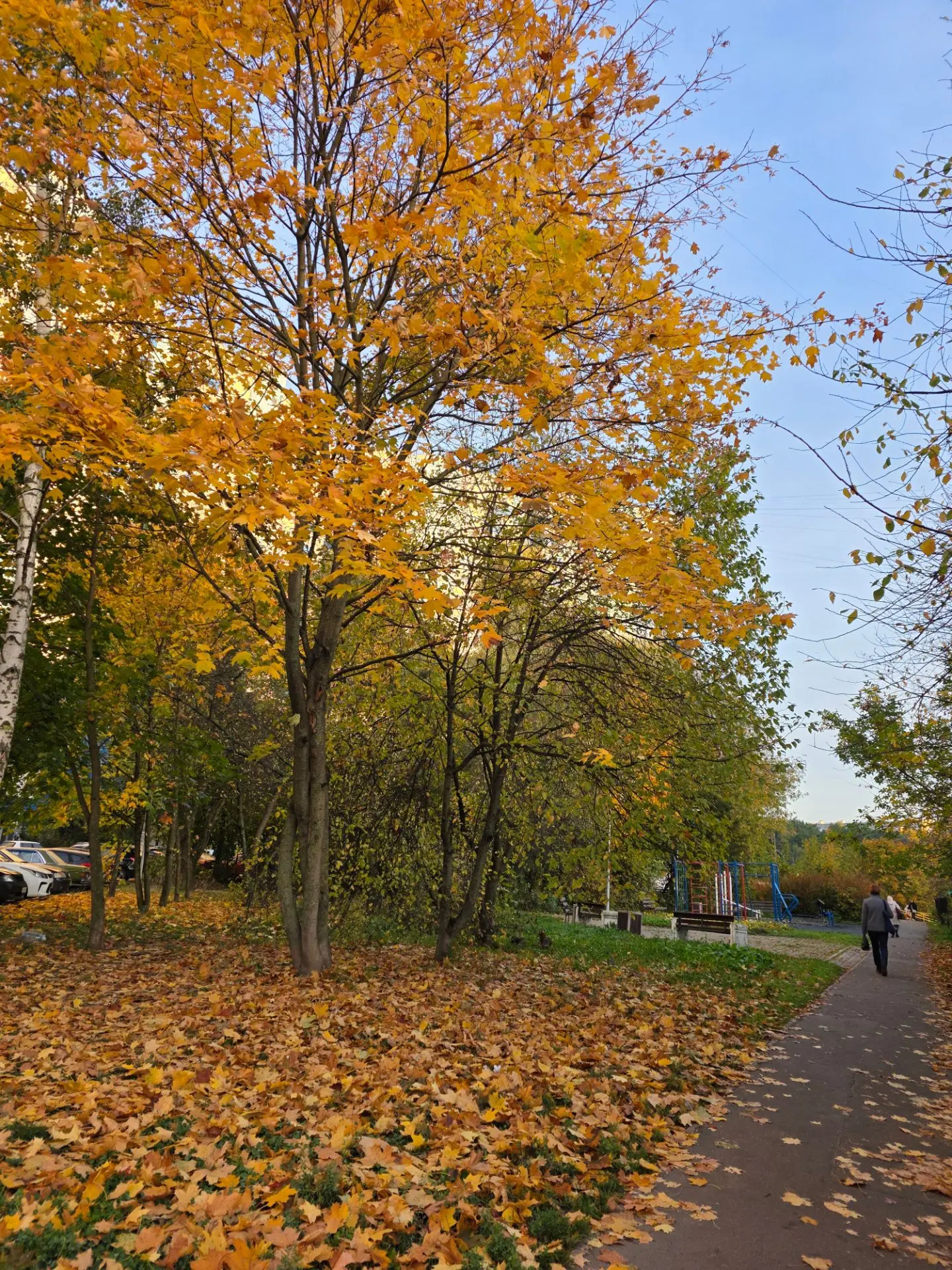 Доброе утро соседи❤️