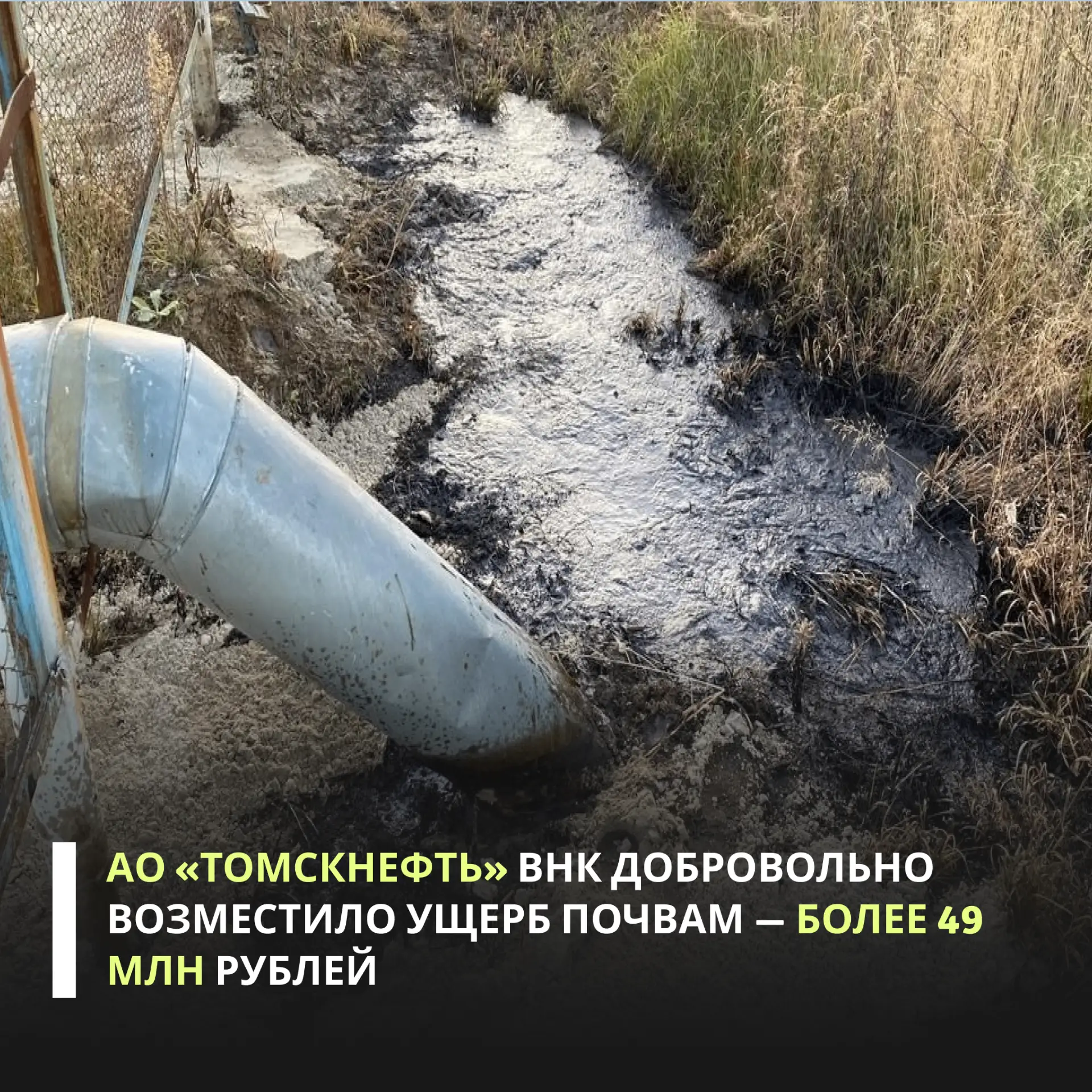 Нарушения выявили инспекторы Сибирского межрегионального управления в октябре 2024 года во время вне