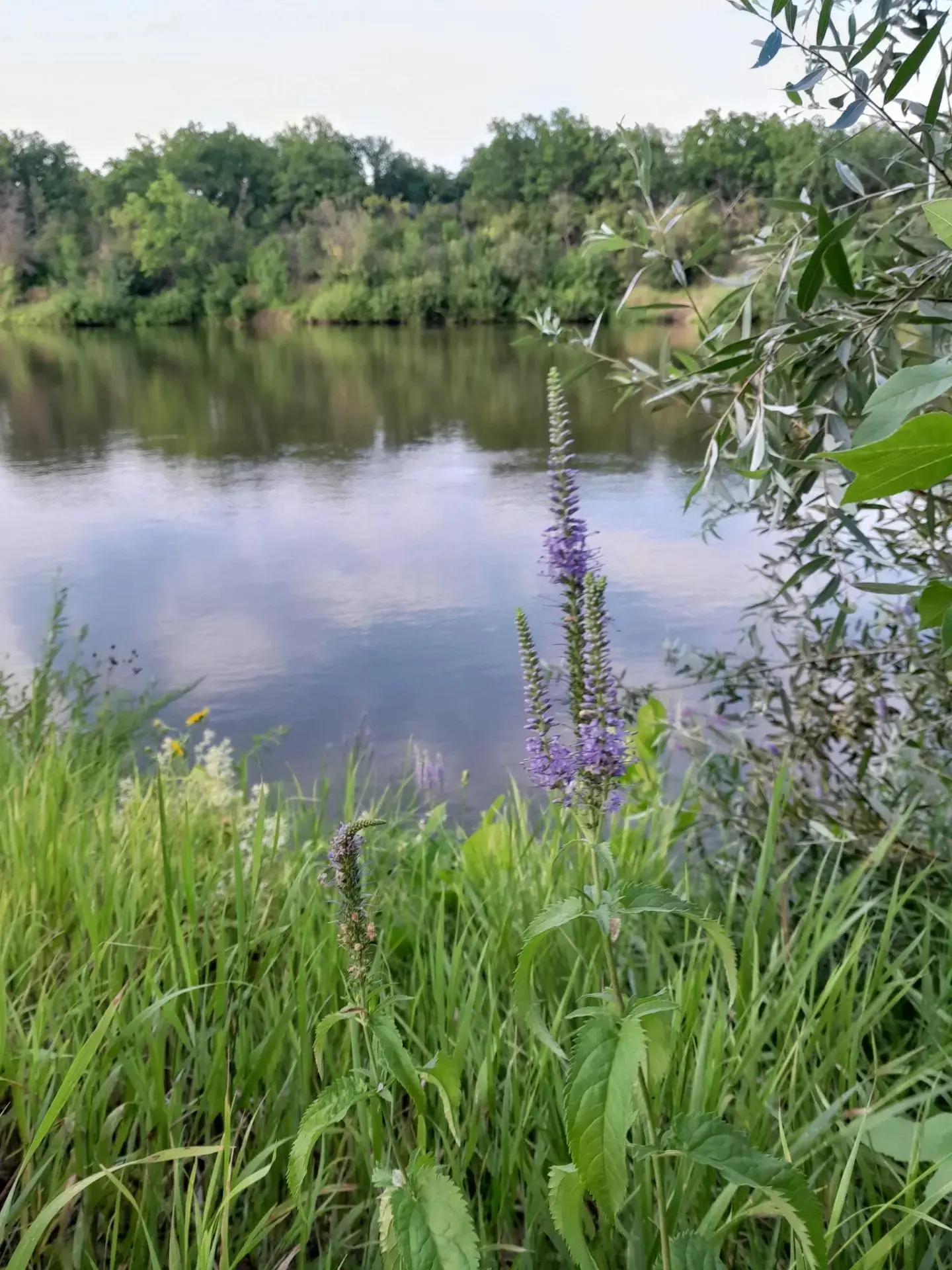 Доброе утро, музейные люди! 🌞