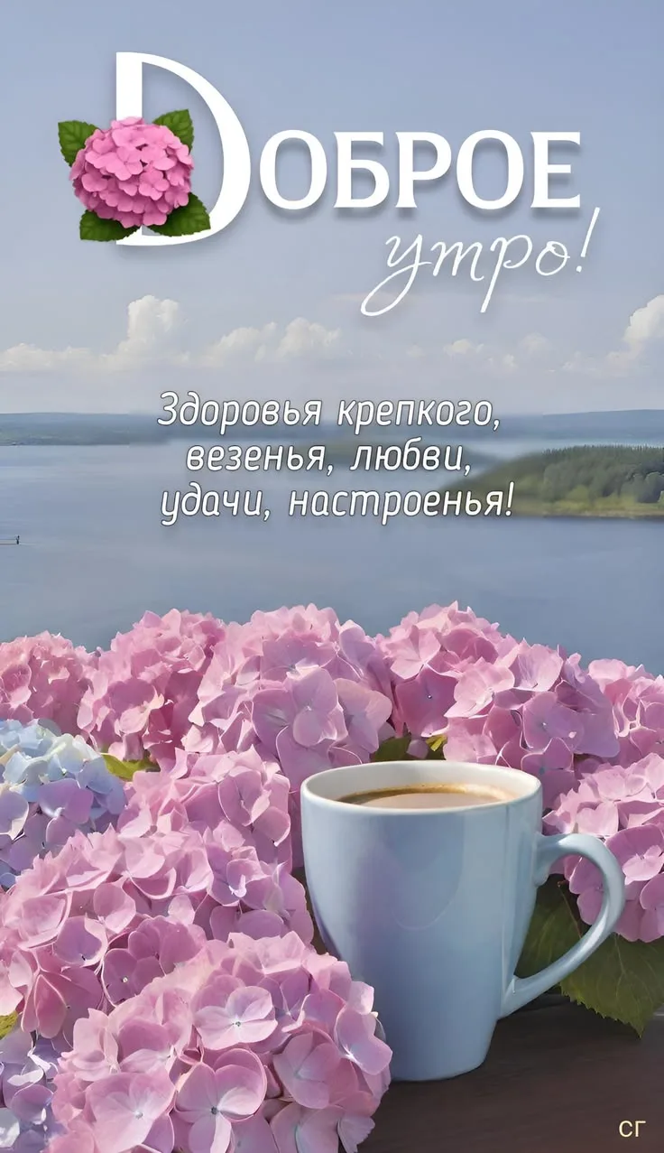 Подпишись 👇