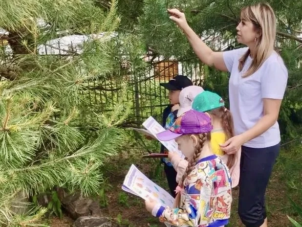🌱 День экологии: познаём природу через игру 🌱