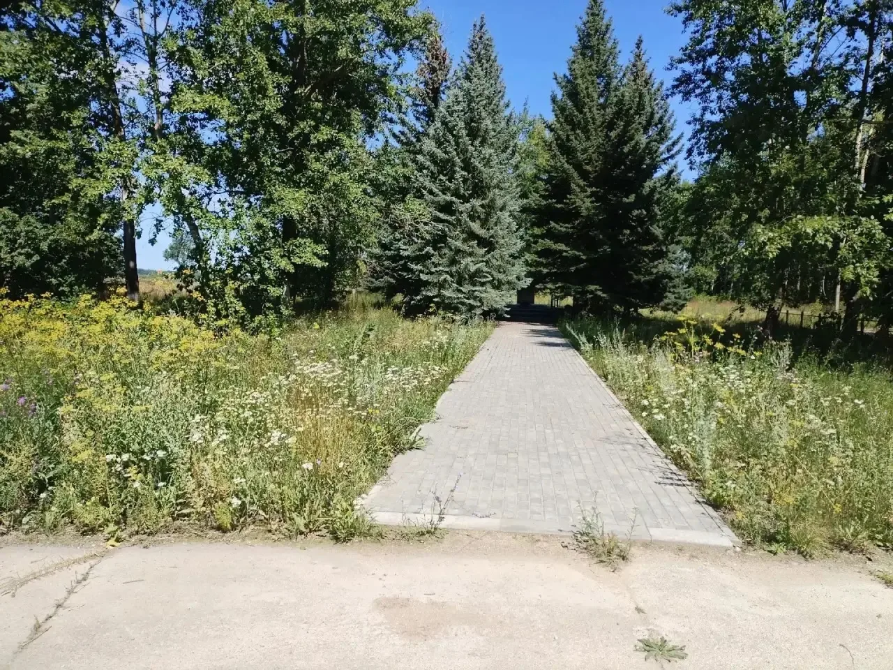 📌летняя практика 
📍поселок Горенка