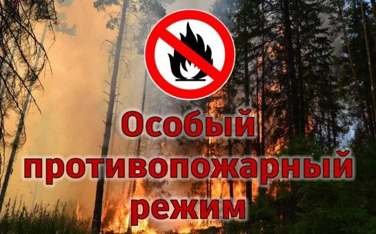 С 13 июня до особого распоряжения в лесном фонде на всей территории Республики Башкортостан устанавл
