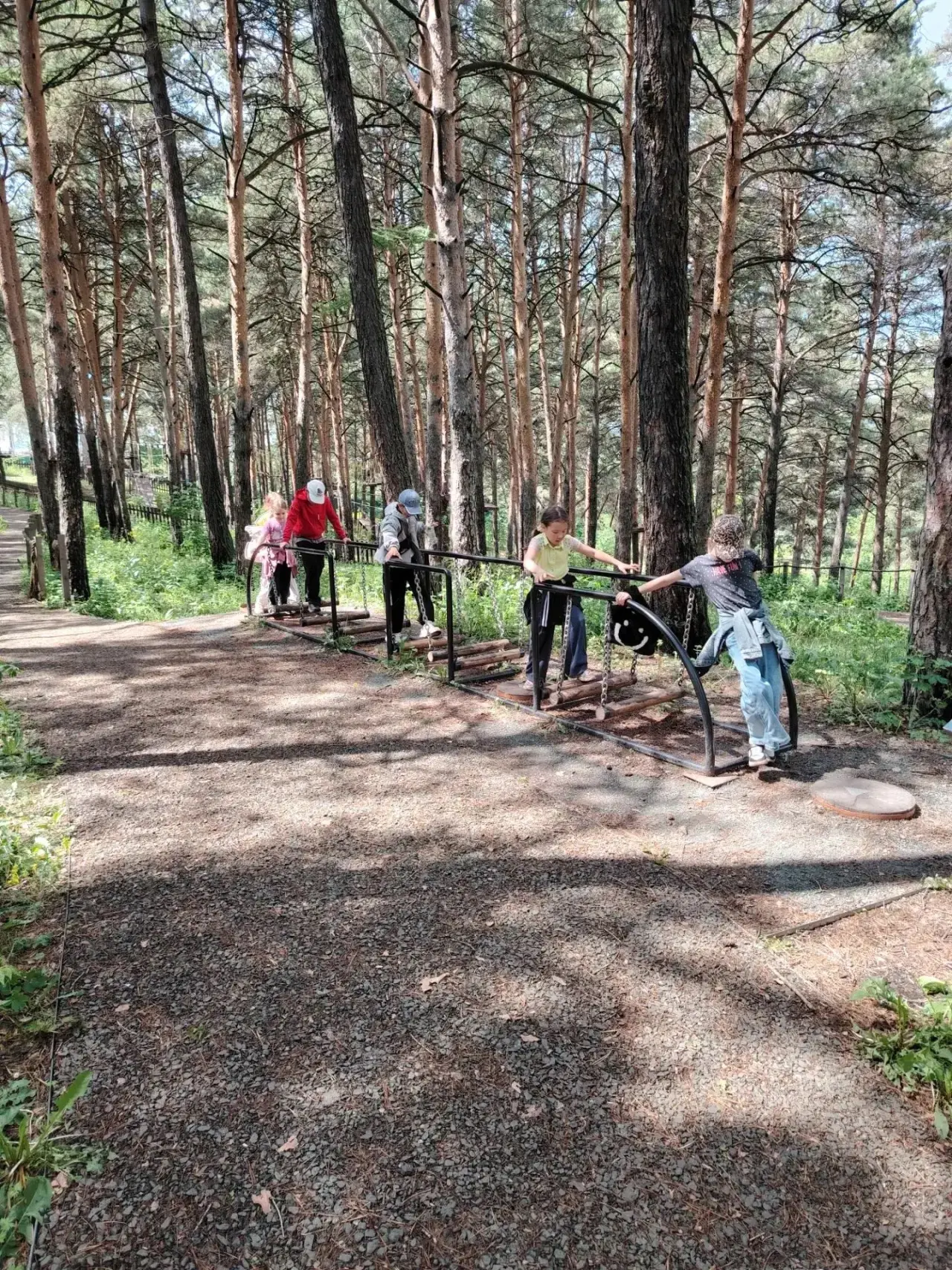 🧗‍♂️ Преодолеваем страхи и покоряем вершины! 🌲Сегодня у нас прошел невероятно активный и захватыва