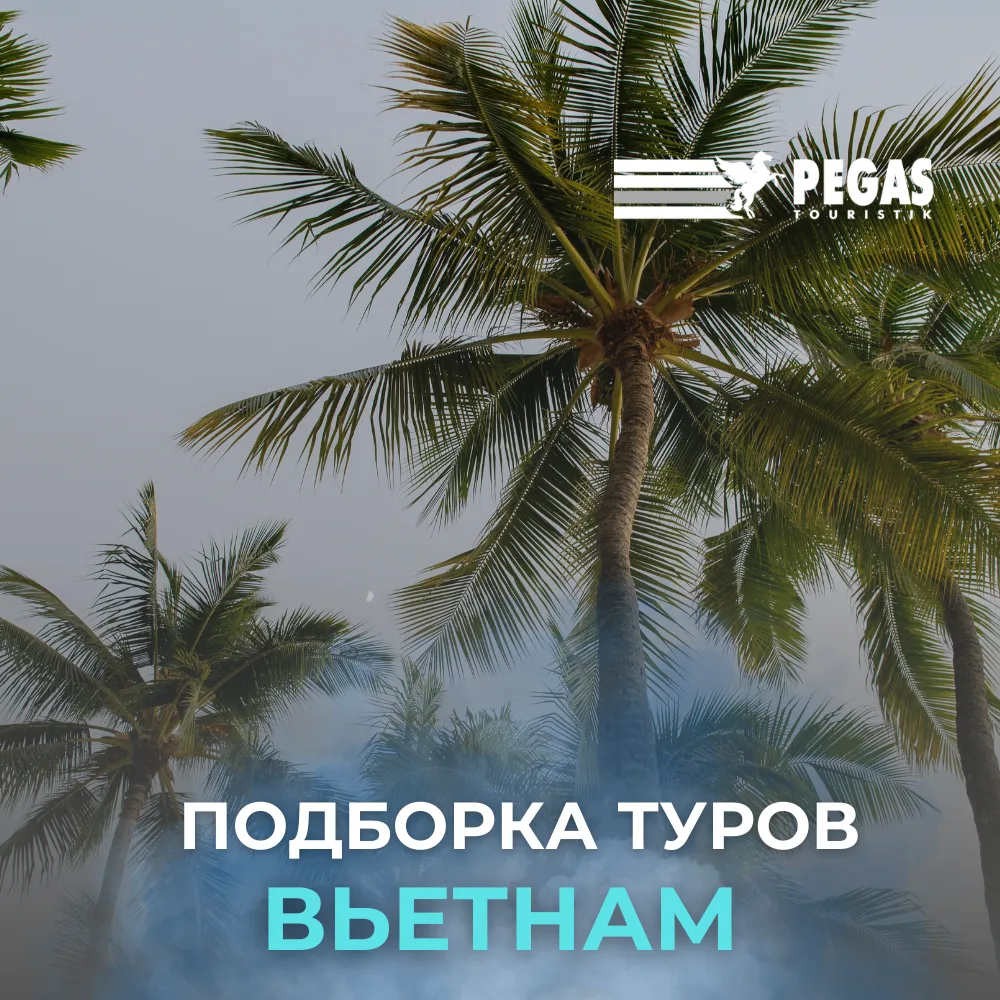 🇻🇳 Вьетнам на двоих ✨  Получаем больше впечатлений, выбирайте : шумный Нячанг, атмосферный Дананг, с