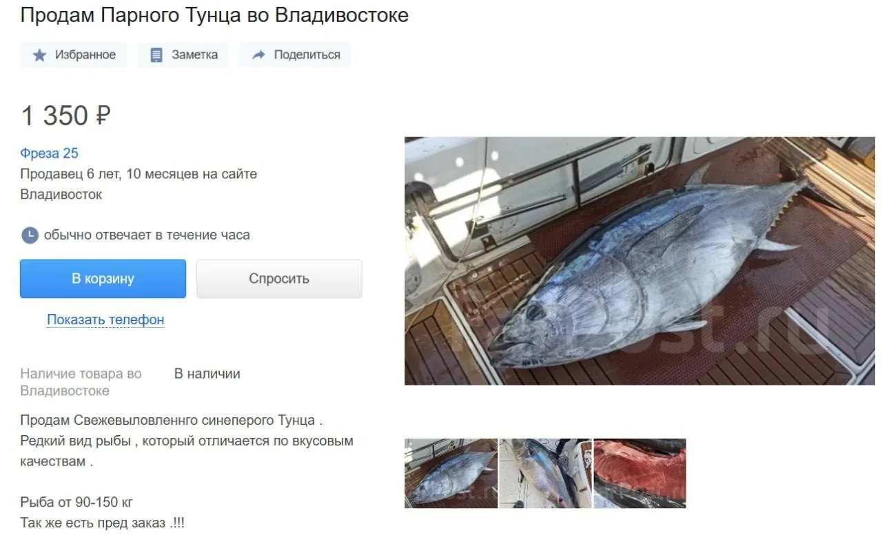 🐟🍽 Приморский тунец по цене говядины: рыбаки распродают улов

Недавние эпичные кадры борьбы примор